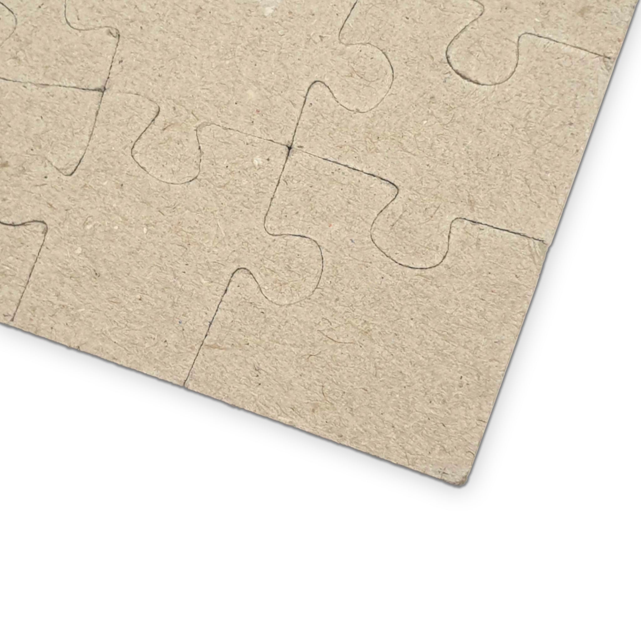 STARGAZER Jigsaw Collectable